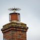 A red brick chimney stack fitted with a protective wire mesh bird guard and radiating metal anti-bird spikes, a preventative measure installed by professional chimney sweeps.