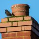 A large pile of twigs, debris, and nesting materials cleared from a blocked flue, illustrating a professional chimney sweep bird nest removal service.